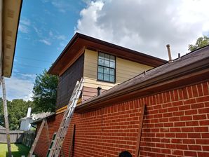 Before Photo - Lexington Exterior Painting with Siding Replacement (4)